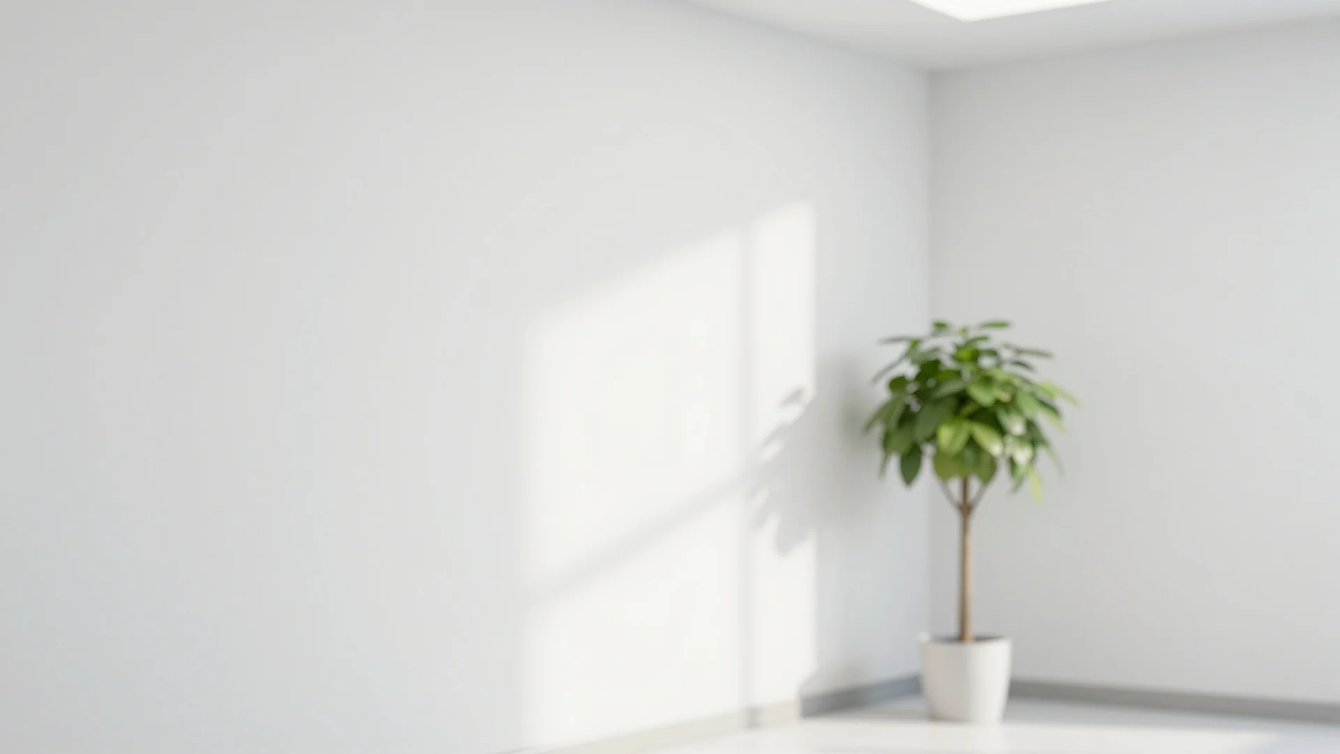 Intérieur du cabinet de micronutrition à Blonay